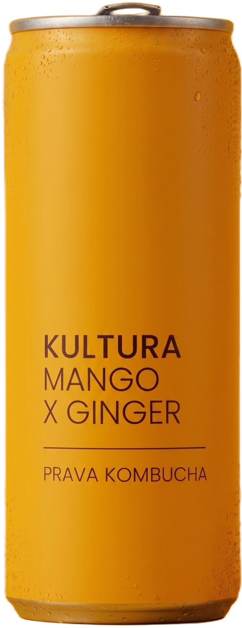 Kultura MANGO × GINGER